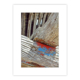 Cimetière maritime en face d'Etel, détail d'une pièce de bois, traces de peinture rouge et bleue