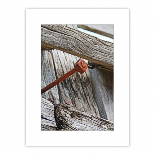 Cimetière maritime en face d'Etel, détail d'un clou rouillé dans une pièce de bois