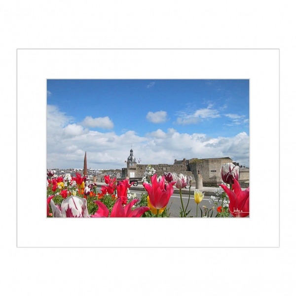 La Ville close de Concarneau prise derrière un parterre de tulipes multicolores, Quai Peneroff.